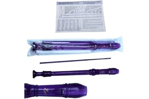 UK MUSIC SUPPLIES Recorder Soprano Baroque style ABS Series Plastic by Zest in Purple