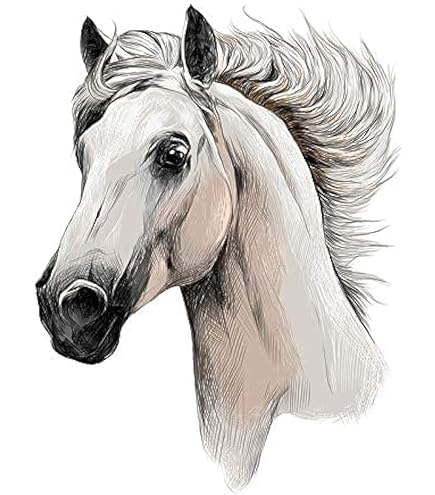 Kinder T-shirt, Pas op ik rijd paard.... - www