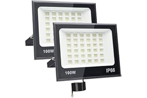 Tkdaksy 2 Pezzi Faro LED Esterno 100W, 2M Cavo Bianco Freddo 6500K, IP66 Impermeabile, 1000LM Faretti LED Esterno, per Giardini, Terrazze, Cortili, Balconi, Parchi, Garage, Fabbriche