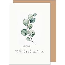 Edition Seidel Carte De Condoléances De Qualité Supérieure Avec Enveloppe - Carte De Condoléances - Motif Oiseaux Du Monde - Pour Dire Adieu Et Sympathie (T1094 SW023