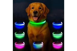 VISINITE Light Up Dog Collar USB-C Rechargeable, Reflective Glow in The Dark Dog Collar with 7 Lighting Modes, Adjustable LED Pet Collar for Night Safety with Battery Indicator (Medium)
