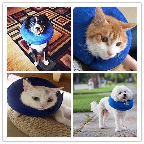 Gonflable Collier De Protection Kobwa Inflatable Collar Collerette Gonflable De Recuperation Pour Chat Chiot S Roman La Veille Du Net