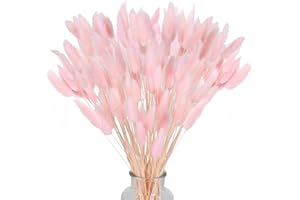 HUAESIN 120pcs Fiori Coda di Coniglio Rosa Pampas Secchi Piccoli Erba della Pampas Coda di Coniglio Fiori Secchi Pampas Decorative Naturali Fiori di Pampas per Casa Vaso Tavolo Festa