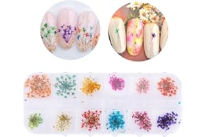 ROTEKT Flor Seca De Uñas Naturales Gel Acrílico UV Gel De Flores Secas Consejos De Diseño De Uñas Decoración De Bricolaje Accesorios De Arte De Uñas(01)