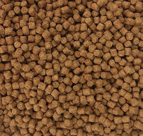 MALTBYS FISHING BAIT : 2KG 11MM SKRETTINGS FLOATING/EXPANDER TROUT AND CARP PELLETS GROUNDBAIT STORES