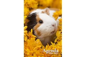 Agenda Scolaire 2022-2023: Cochon d'inde | Semainier au format A5 pour les étudiants, professionnels et particuliers (Septembre 2022 à Juillet 2023)