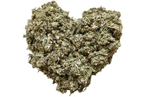 FRANCEHERBORISTERIE Tisane Artichaut feuille CT 100 GRS Cynara scolymus