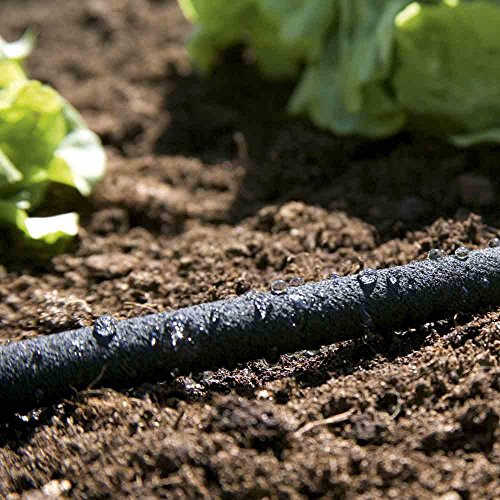 Preisvergleich Produktbild Perl-Regner mit Handventil 15m