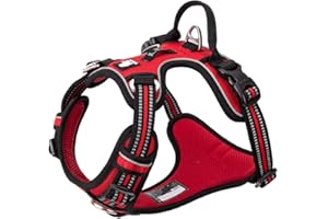 TRUE LOVE Harnais Pour Chien No Pull Nylon Souple Réfléchissant Réglable Pour Petit Grand Animal Domestique TLH56512(M, Rouge)