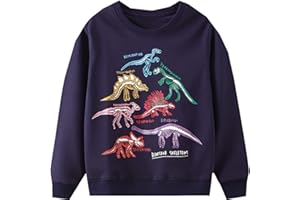 WINKEEY Garçon Sweat-Shirt Fluorescent Pull Enfant Imprimé Dinosaure Requin Manches Longues, 1 Dinosaure 6T