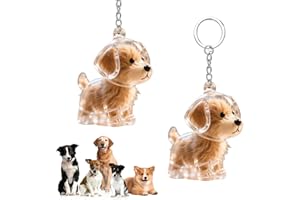 CHIHOLEN 2 Portachiavi per raccoglitori di peli di cani, ciondolo fai da te, supporto per peli di cani, capsule trasparenti per la conservazione dei peli di cani, regali commemorativi creativi per gli