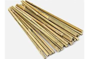 HAZIQ 2ft-3ft-4ft-5ft-6ft Bamboo Canes/Stake/Pole Garden Plant Flower Support Sticks Outdoor/Indoor Plants Support Natural Strong (10, 4ft - 120cm (10-12mm))