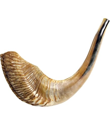 Shofar En Corne De Gemsbok 28 Pouces (70-72 Cm) - Poli, Kosher, Fabriqué En Israël - Pour Cérémonies Juives, Décoration