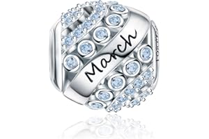 FOREVER QUEEN Women's Birthstone Charms for Bracelet 925 Sterling Silver Bead Charms,Birthday Gift With Jewelry Box