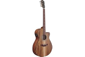 Ibanez Acoustic Guitar / VC40WSCEOPB