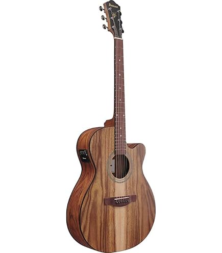 Ibanez AEQ2T アコースティックギター Ibanez AEQ2T - Guitarra electro clásica para conciertos : Amazon