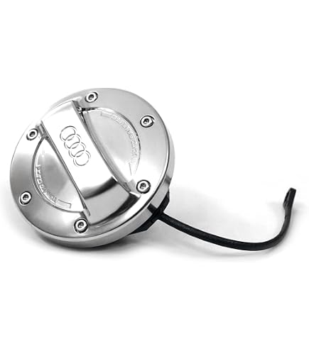 Audi 4M8071006A Dynamic Hub Caps (Pack of 4) Black/Silver 20.6 x