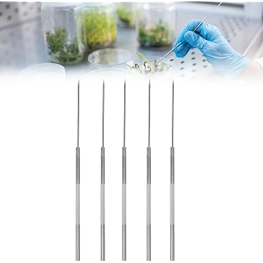 Plateau De Dissection En Acier Inoxydable Avec Cire - 31x21x3.5 Cm - Sécurisé Pour Étudiants En Biologie