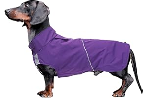 MOREZI Dachshund coat dog raincoats waterproof suitable for dachshunds corgi, dog waterproof coat with reflective stripe underbelly protection - Purple - M