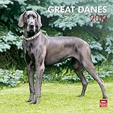 Great Danes 2012 by 