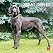 Great Danes 2012 by 