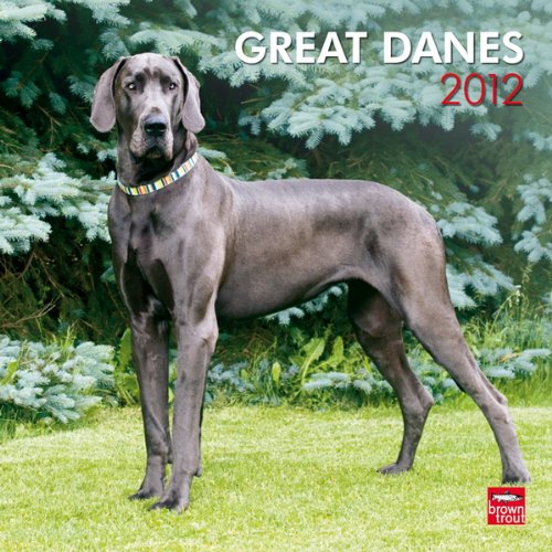 Great Danes 2012