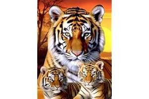 Bimkole 5D Diamond Painting DIY Kits Trois Tigres, Animal Broderie Diamant Kits De Broderie Au Point De Croix Strass Rond Résine Peinture Décor à La Maison 30X40 cm
