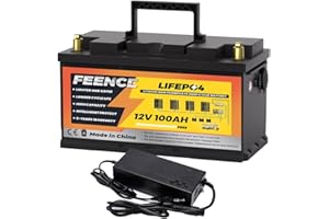 ‎FEENCE FEENCE 12V 100AH LiFePO4 Batterie H190mm Wohnmobil Untersitz,1280Wh Lithium Batterie 12V 100Ah mit USB Ports & Lithium-Ladegerät, Low Temperature Schutz für Wohnmobil, Wohnwagen,RVs,Off-Grid