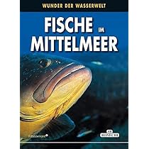 Sub-base Fischbestimmungskarte Rotes Meer – Faltb Produktbild-Vorschau 7