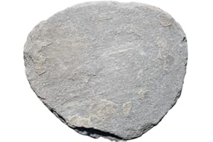 Natursteinzentrum Rhein Main Trittsteine Step - Stones aus Quarzit, Stärke ca. 3-4,5cm, ca. 19 kg pro Stück