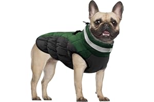 CITÉTOILE Płaszcz dla psa, zimowa kurtka z uprzężą, wodoszczelny, z polarową podszewką, ciepła kamizelka z odblaskami, dla małych, średnich, dużych psów, zielony, L