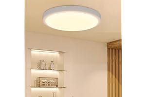 sailsco Plafoniera LED Soffitto,Fonti luminose 16W 3360LM, Plafoniera Bagno IP44 Impermeabile Rotonda Ø27CM,3000K Calda per Cameretta Balcone,1 Pcs(Contiene una Sorgente di Luce di Classe A)
