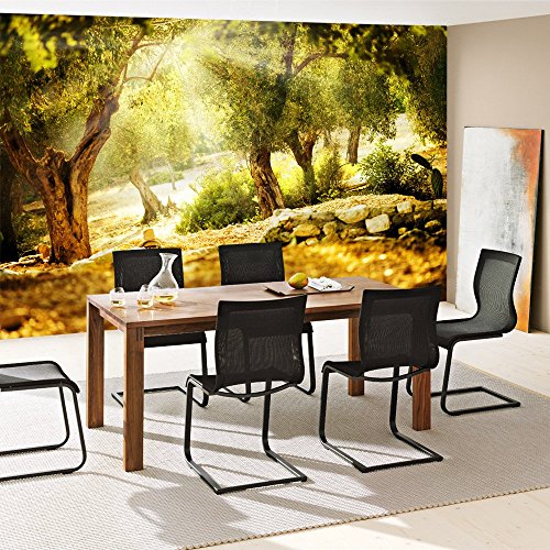 Fototapete Wald – ALLE WALDMOTIVE auf einen Blick ! Vlies PREMIUM PLUS – 200×140 cm – SUMMER TREES – Wald Sonne Steine – no. 265 - 7