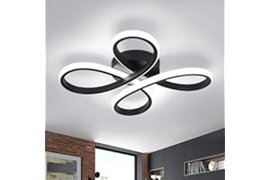 EIDISUNY Modern LED Ceiling Light, 30W Black Curved Creative Modern Ceiling Lights Fixture LED for Living Room Bedroom Corridor Aisle Hallway Indoor Office Kitchen Lamp - Cool White Light 6000K
