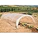 Produktbild Tomatenhaus tunnel Metal Medy – cm 100 x 600 x 50 H. MondoVerde