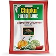 Chipku- Pheromone Lure for Melon Fly (Bactocera cucurbitae) Pack of 10 Melon Lure only