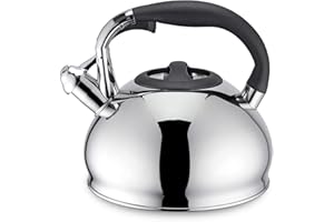 Easyworkz Bollitore per tè con fischietto in acciaio inossidabile per fornelli e induzione (2,5 l, argento)