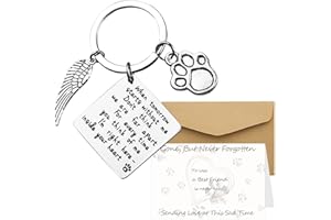 MMGOQQT Loss of Pet Keychain, Pet Memorial Gifts Pet Sympathy Gift Pet Loss Gift with Paper Card Envelope Keychain Jewelry, Key Pendant Sympathy Remembrance Gift for Pet Dog Cat Lover