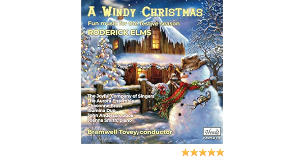 Christmas Organ Concert Aurora In 2022 A Windy Christmas: Fun Music For The Festive Season: Amazon.co.uk: Cds &  Vinyl