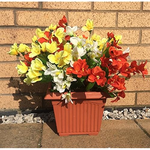 Garden Bark: Amazon.co.uk