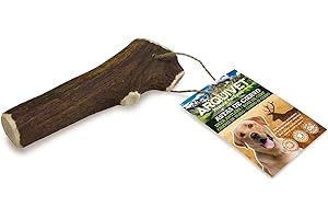 Arquivet Asta de ciervo - Mordedor ecológico perros - Cuerno de ciervo para perros - Masticador natural perros - Asta de ciervo caída natural - XL (Paquete de 1) (151-225 g)