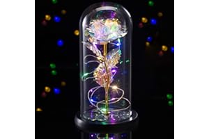 TECHSHARE Regalo Dia De La Madre, el Rosa Artificial en Cristal es un Regalos Ideal para Mujer, Novia, Mamá, Hermana, Esposas para el día de San Valentín, Día De La Madre, Navidad, Cumpleaños