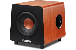 AIYIMA 800X 8 tums driven subwoofer, otroligt djup bas och driven subwoofer-högtalare förstärkare för hemmabio, RCA/AUX/LFE-i