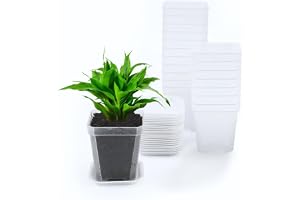 KAHEIGN 24 st genomskinliga fyrkantiga växtkrukor, 7 cm tjocka plastblomkrukor suckulent planterare barnkammare krukor med pa