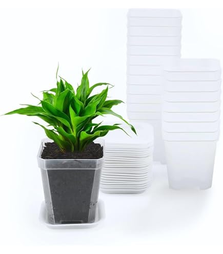 Lot De 2 Coupelles Carrées Pour Pots De Fleurs - 41 X 41 X 5,5 Cm, Plastique PP, Noir