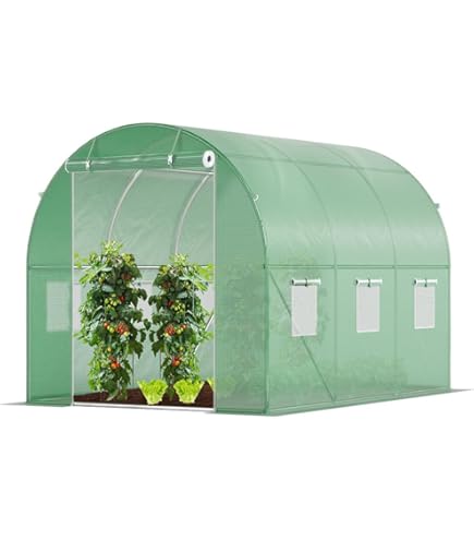 Serre Avec Cadre En Acier Vert 10 M² 5x2x2,3 M - Serre De Jardin