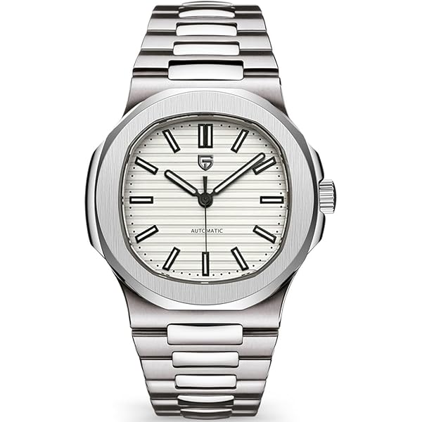 Pagani Design/Montre Homme Mécanique Automatique Affaires Décontractée