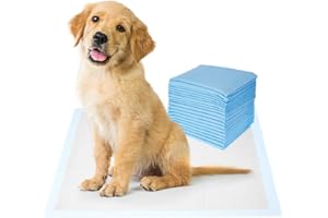 Amazon Basics Dog And Puppy Pee Pads Pack Of 20 24 X 23 Inches Leak-Proof, Quick-Dry Design For Potty Or Indoor Training Heavy Duty Absorbency