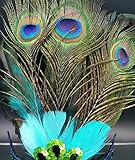 PRIMI Masquerade Kostüm Party Halloween Cosplay Maske Pfau Federn Maske - 