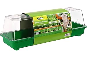 Dehner Szklarnia pokojowa Alexander, ok. 59 x 20 x 20 cm, tworzywo sztuczne, zielona